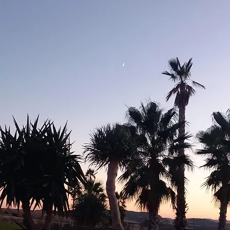 A With A Sun View