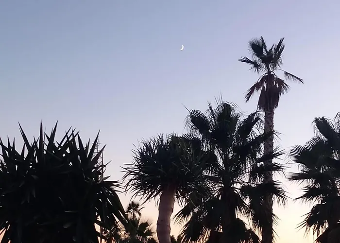 A With A Sun View